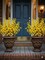2PC 26" Artificial Forsythia Bush – Realistic Yellow Spring Flowers, Decorative Faux Floral Stem for Home, Office, and Event Arrangements